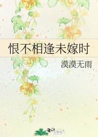 恨不相逢未嫁时