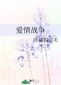 爱情战争
