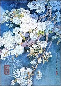 天鸾
